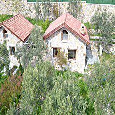 The Mira House